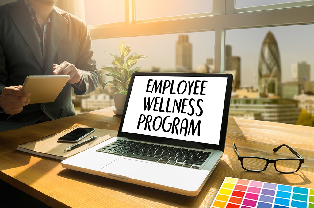 Wellness program insurance